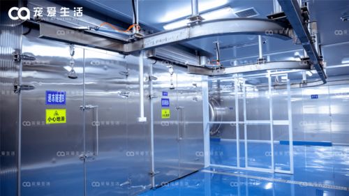 从品牌到自建工厂,只为专注做好冻干 love around爱立方来了