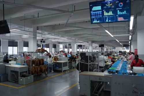 代工厂的品牌梦,直播电商实现了吗