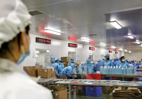 万能的大熊 新青年的新未来,我们将要面对怎样的新十年